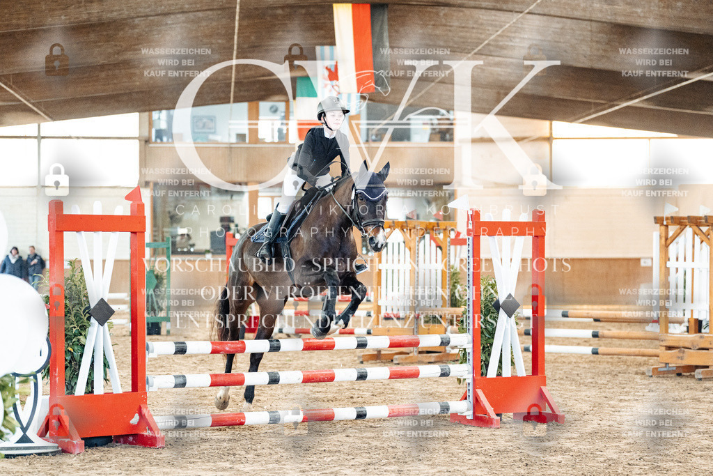 CK903785 | Turnierfotografie Pferdefotografie Trier Rheinland-Pfalz Pferdesport Reitsport Tierfotografie Sportfotografie Pferdevideo Pferdevideografie Equestrianvideography equestrianphotography  - Realized with Pictrs.com