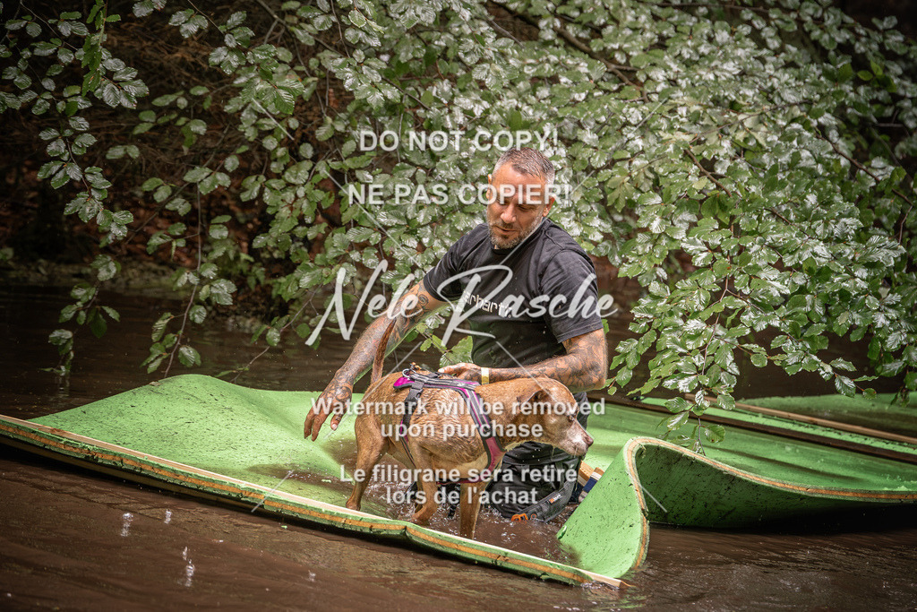 nelerasche_Wingst_Sa1330-1400_07 | nelerasche