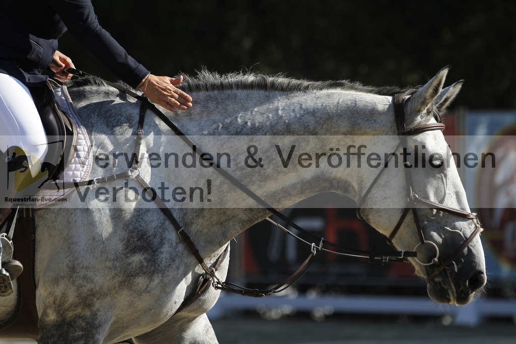 _MG_7763 | equestrian-live-com