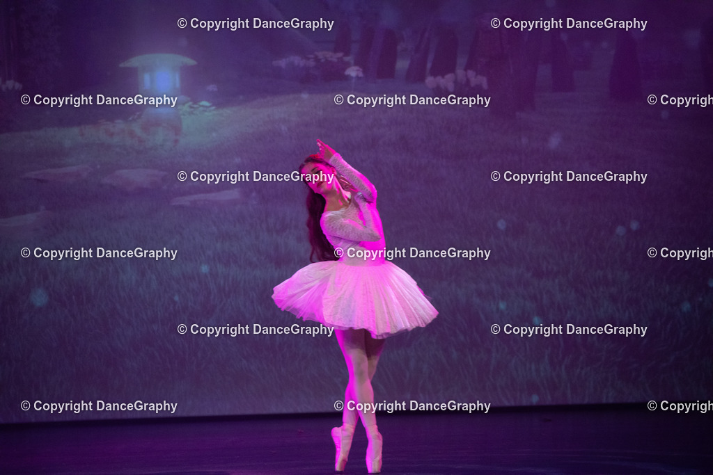 GPHY2205 | DanceGraphy - Realisiert mit Pictrs.com