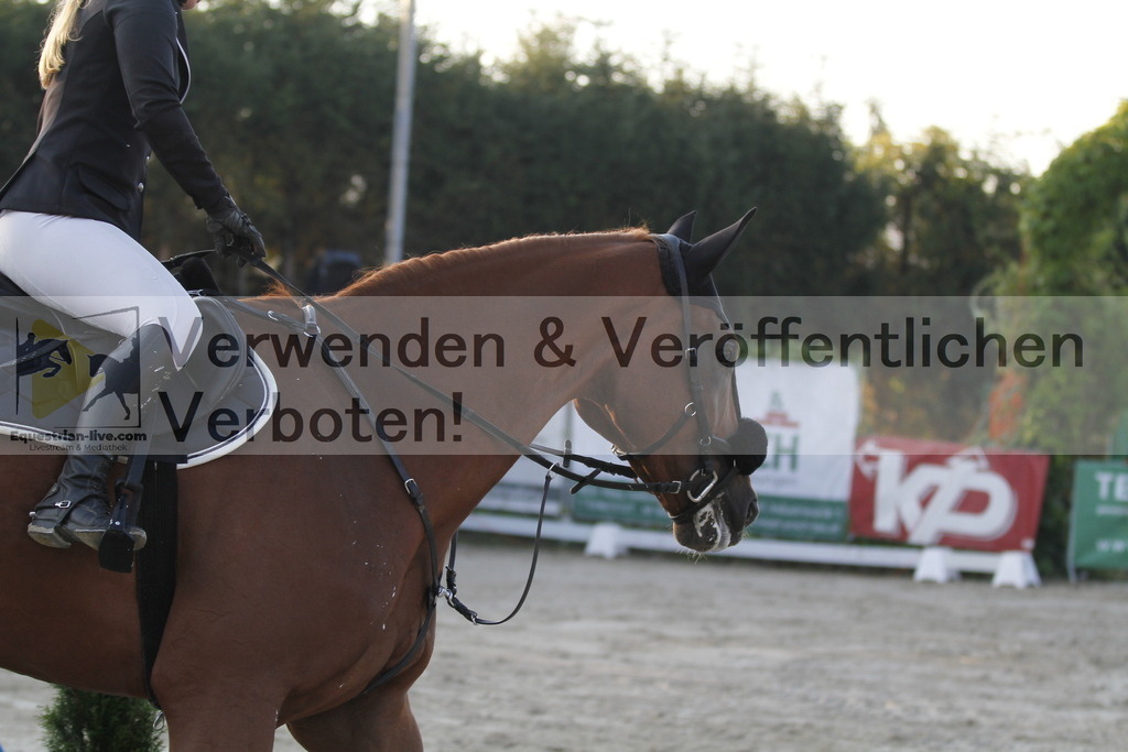 _MG_6899 | equestrian-live-com