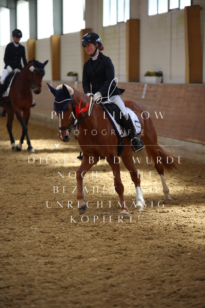 IMGT4239 | pl-fotografie