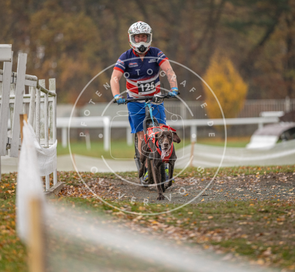 CaniXpix_DV3A8650 | Hundefotografie, Tierfotograf, Pfotenfotografie, Fotoshooting Hund, Hunde Portrait, Hundesport, Hundeportraits, Heideshooting, Hunde, Sportfotograf, Hundefotograf, Turnierhundsport, THS,  - Realisiert mit Pictrs.com