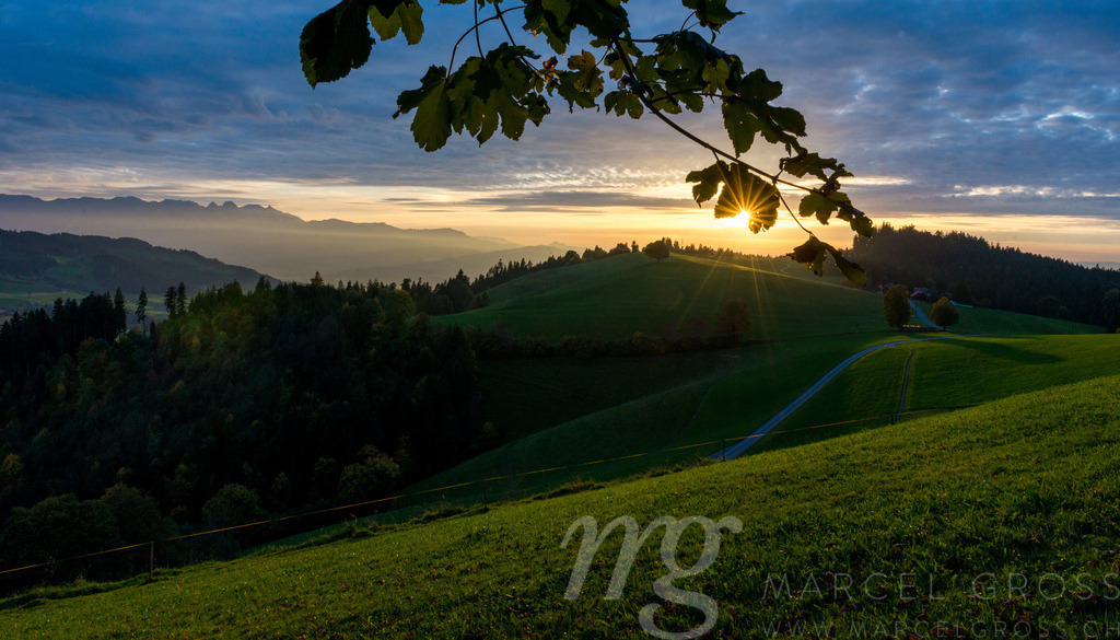 Ast vor Sonne, Sonnenuntergangsstimmung über dem Emmental und den Voralpen, Aebersold, Schweiz | Die ideale Geschenkidee für Naturliebhaber. Naturbilder von Marcel Gross Photography für ihr Zuhause in den verschiedensten Formaten und Materialien. - Realisiert mit Pictrs.com