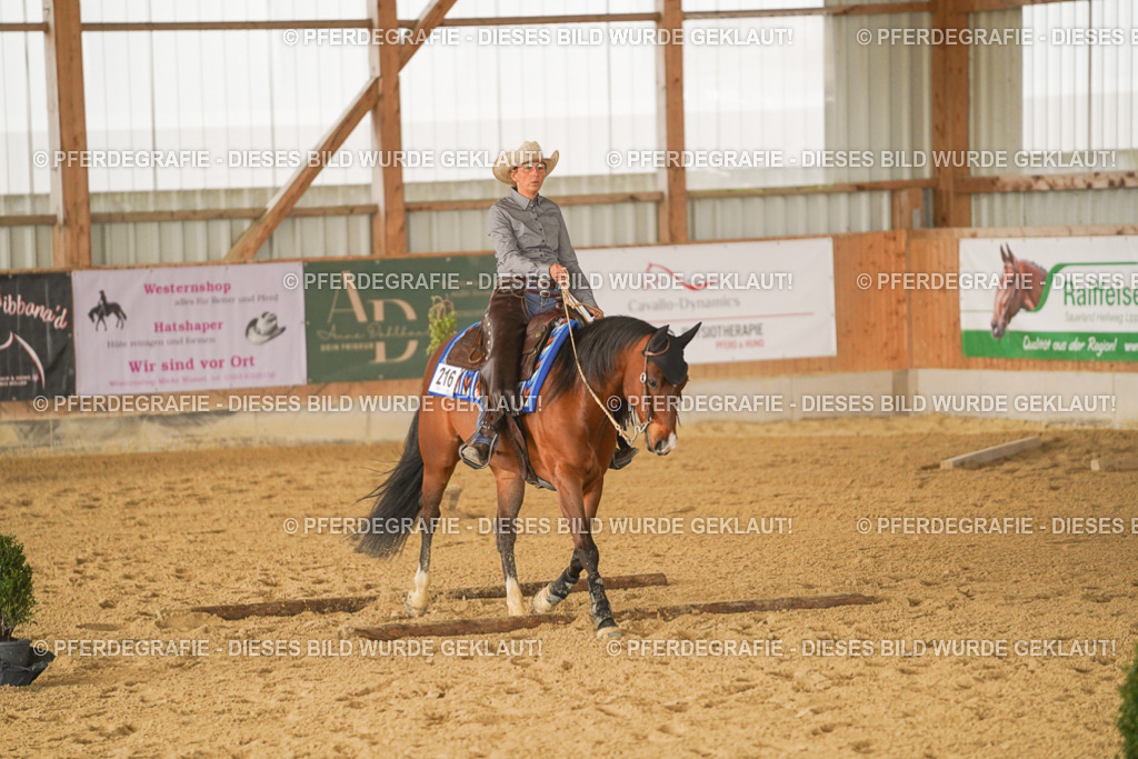 DSC02134 | Pferdegrafie