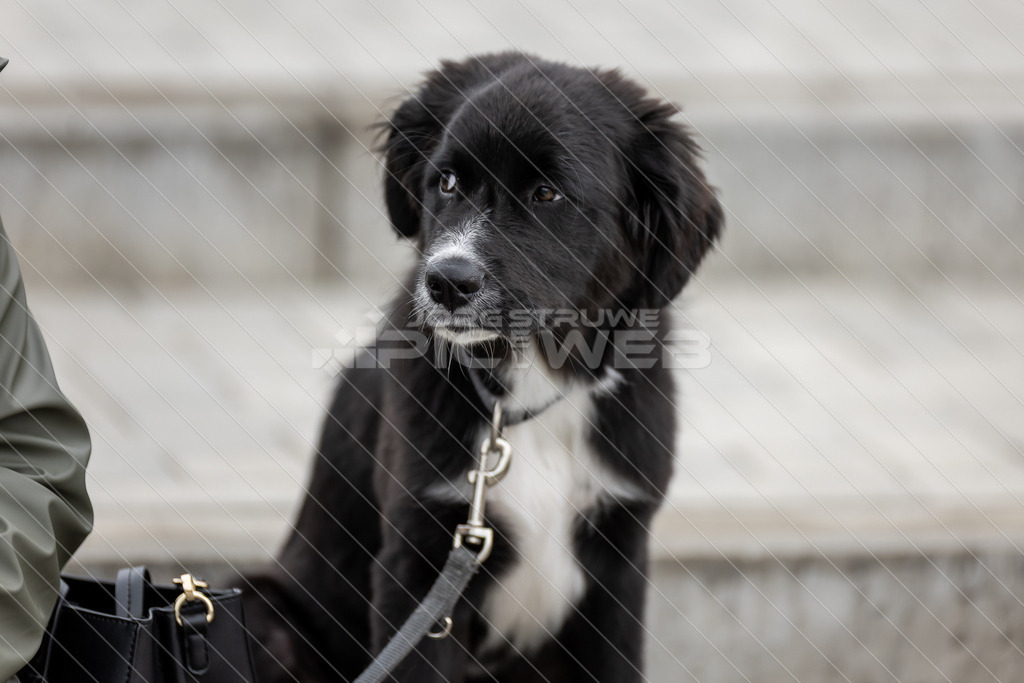 20250706_Picselweb-Fotografie_1R3_1990 | Dein Fotograf aus dem Landkreis Stade für Sport und Events - Realisiert mit Pictrs.com