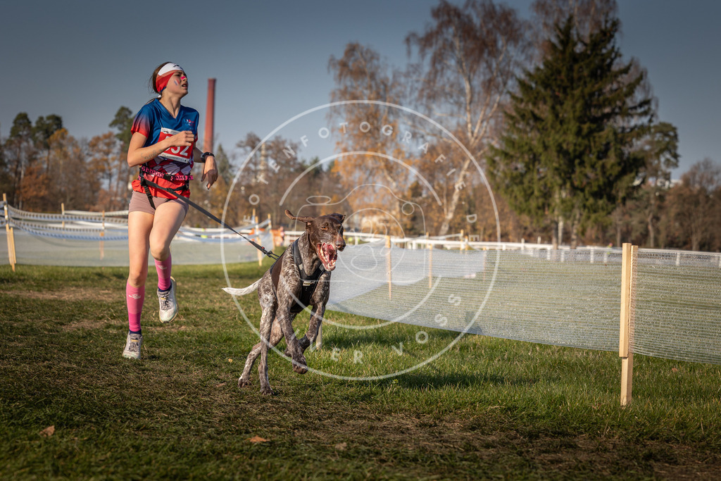 CaniXpix_0L8A9165 | Hundefotografie, Tierfotograf, Pfotenfotografie, Fotoshooting Hund, Hunde Portrait, Hundesport, Hundeportraits, Heideshooting, Hunde, Sportfotograf, Hundefotograf, Turnierhundsport, THS,  - Realisiert mit Pictrs.com