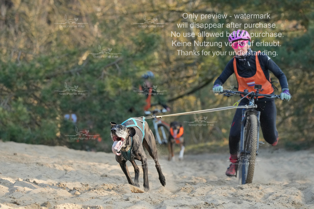 So_2_Bike-3 | stephaniefillaphotographie - Realisiert mit Pictrs.com