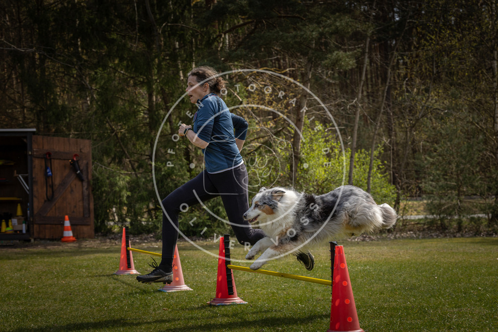 Pfotenfotografie_DV3A3399 | Hundefotografie, Tierfotograf, Pfotenfotografie, Fotoshooting Hund, Hunde Portrait, Hundesport, Hundeportraits, Heideshooting, Hunde, Sportfotograf, Hundefotograf, Turnierhundsport, THS,  - Realisiert mit Pictrs.com