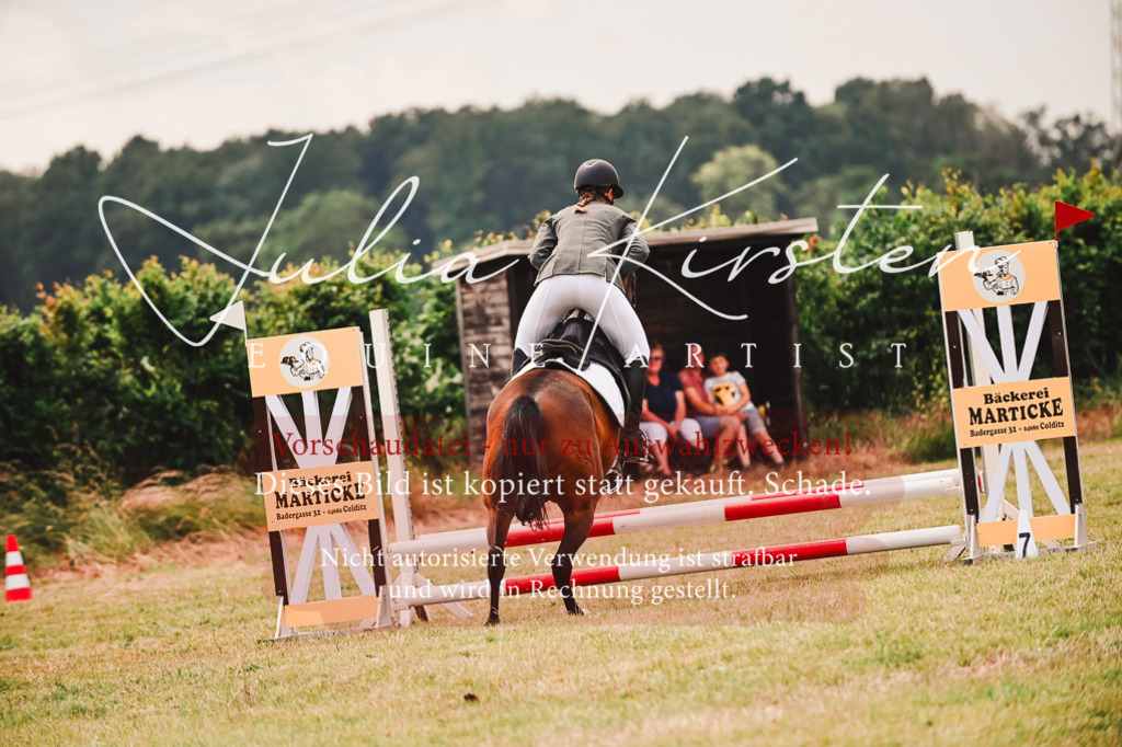 DSC_6932 | Pferde- und Turnierfotografie in Westsachsen. Pferdeportraits, Auftragszeichnungen und intuitive Kunst.