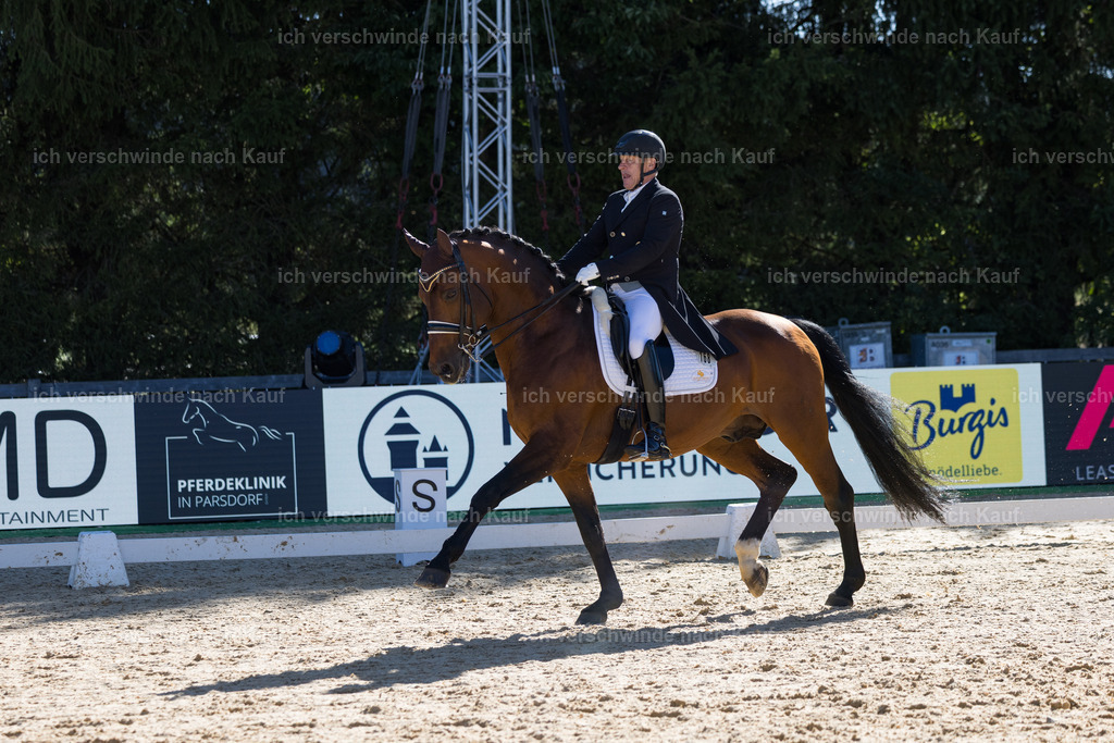 FHC2026_P07_168_17517 | working equitationturnier fotograf videograf stoibphotography marixx film working equitation deutschland reitsport turnierfotografie eventfotografie equestrian events