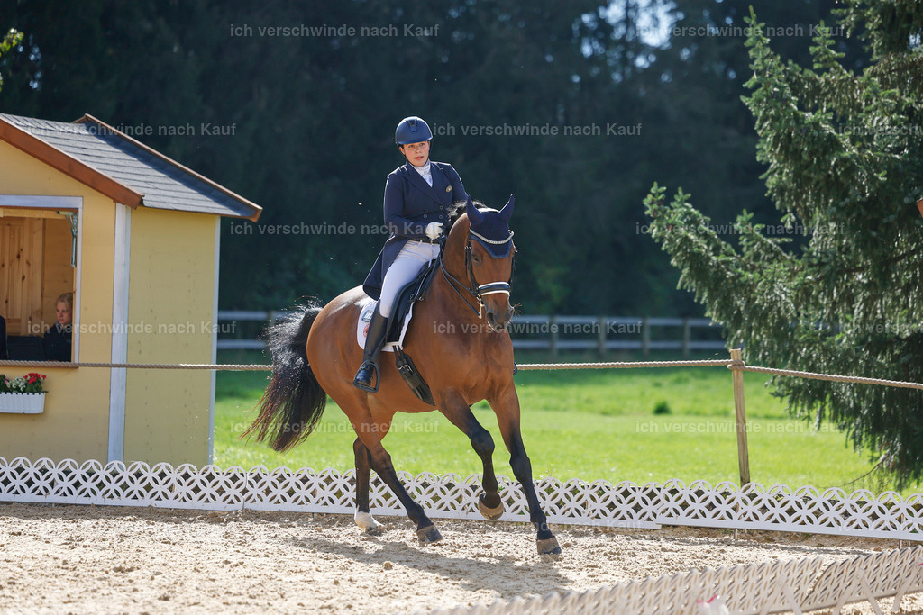 09_2-169-DRESSUR  S_  -StoibPH-5759 | working equitationturnier fotograf videograf stoibphotography marixx film working equitation deutschland reitsport turnierfotografie eventfotografie equestrian events