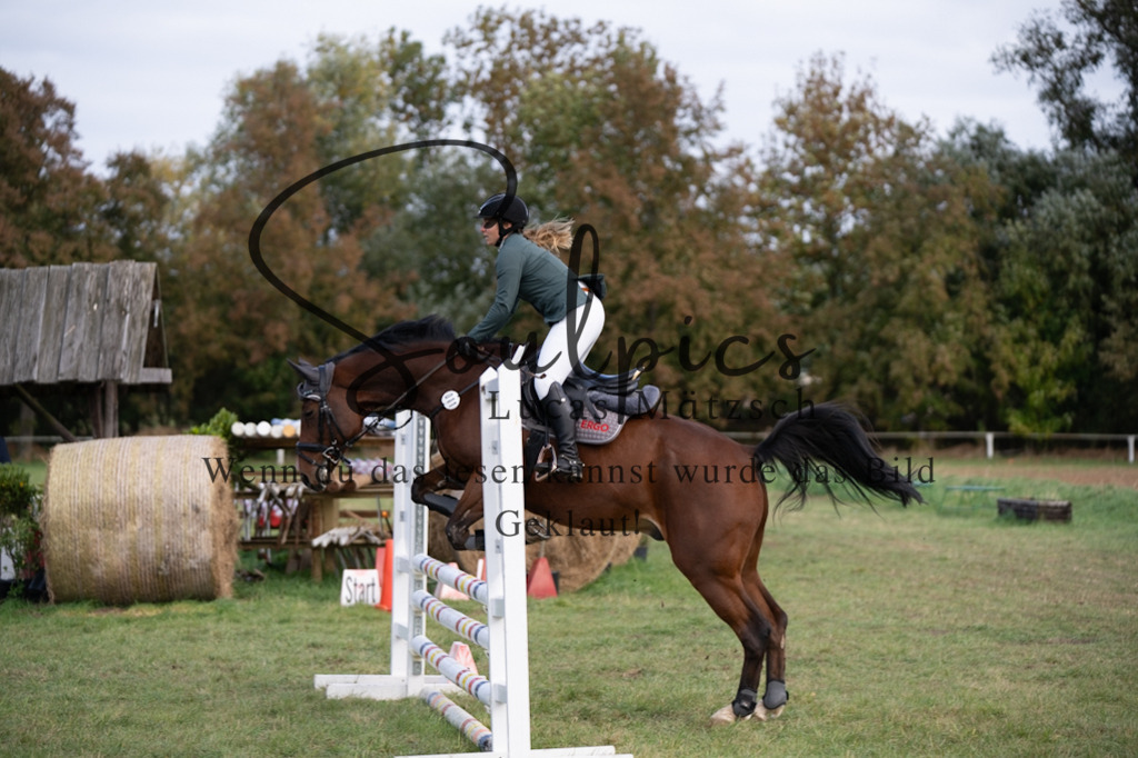 A7V06500 | Pferdefotograf