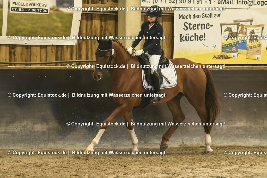 20231029_04_Dressur-WB_0252 | Foto: Thomas Hartig