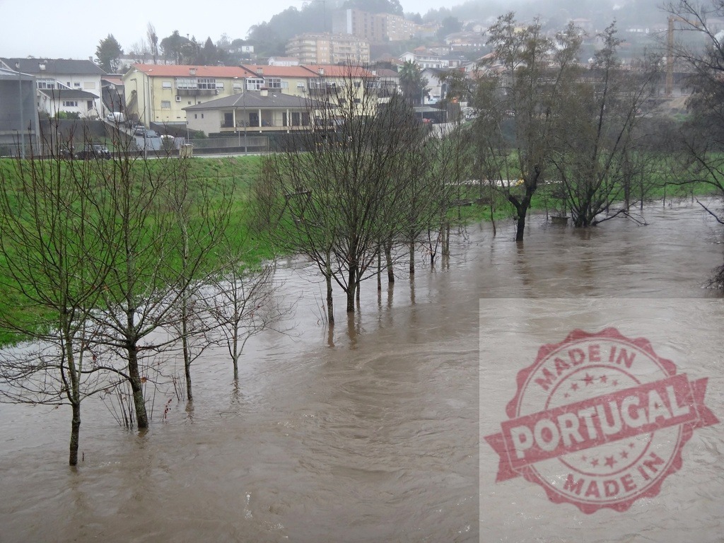 River overflowing banks during heavy rain flooding land. Portugal floods 02.26 - Paco de Sousa, Penafiel | Swollen river overflowing its banks, submerging trees and adjacent land with turbid water - Realized with Pictrs.com