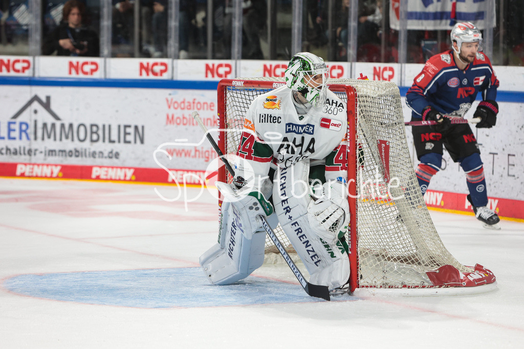 Nuernberg ICE Tigers - Augsburger Panther | Dennis ENDRAS (AEV #44) in Aktion