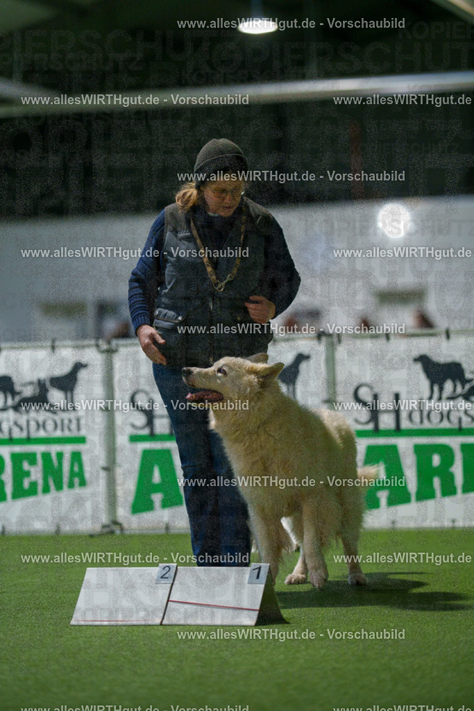 7R504171 | Professionelle Tierfotografie in Mönchengladbach von Daniel Wirth (allesWIRTHgut). Liebevolle & natürliche Bilder von Hunden & Katzen für unvergessliche Erinnerungen.