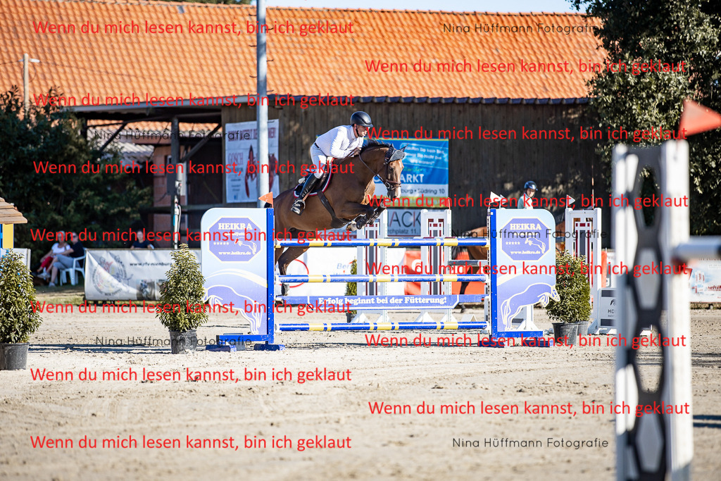 BK1A8157 | Turnierbilder Turnierfotos Nina Hüffmann Turnierfotografie Pferdefotografie Tierzeichnung Haustierzeichnung Pferdezeichnung Hundezeichnung Videograf  - Realisiert mit Pictrs.com