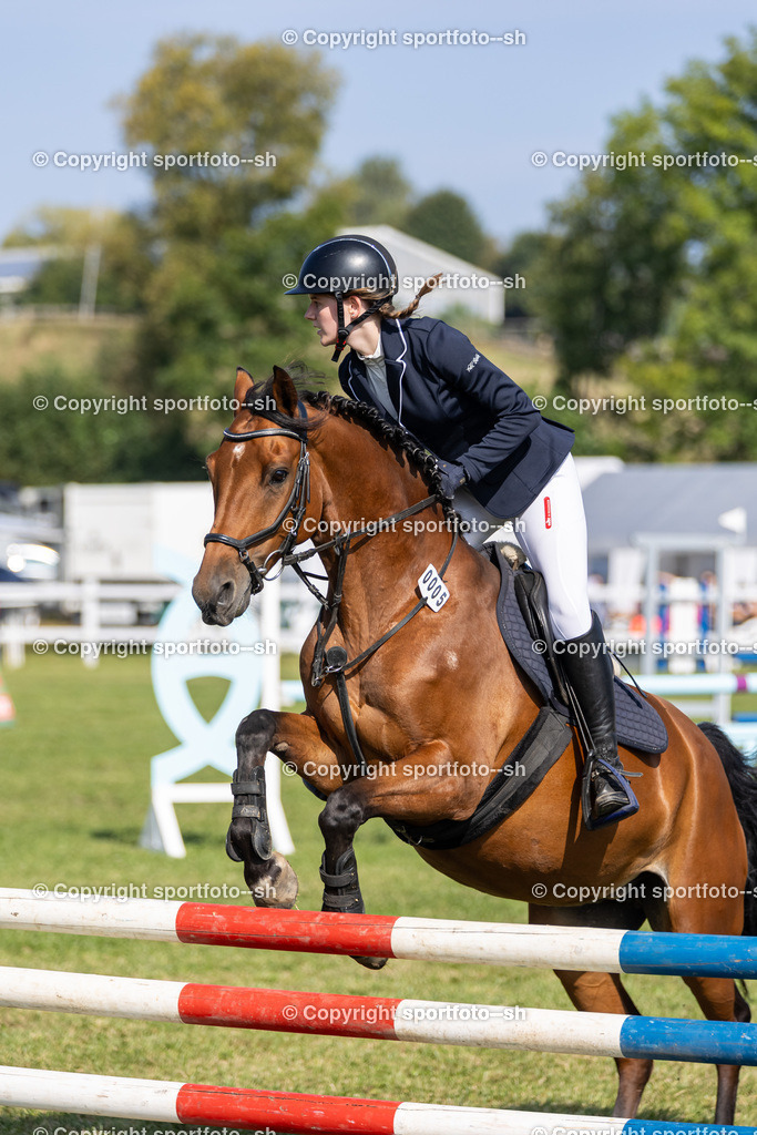 240831-VW-IS6A3503 | Sportfoto SH - Realisiert mit Pictrs.com