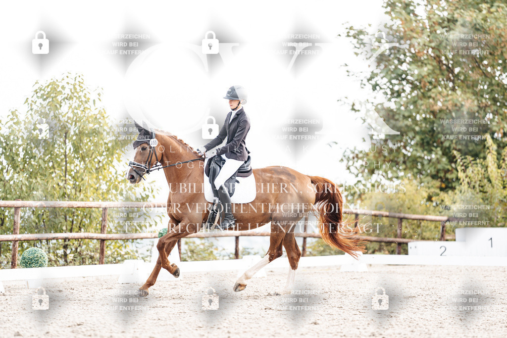 CK900562 | Turnierfotografie Pferdefotografie Trier Rheinland-Pfalz Pferdesport Reitsport Tierfotografie Sportfotografie Pferdevideo Pferdevideografie Equestrianvideography equestrianphotography  - Realisiert mit Pictrs.com