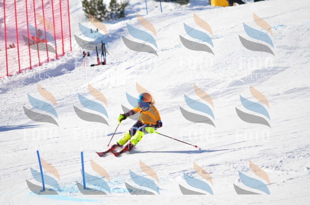 C6207 | holidayphoto