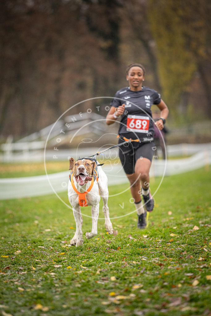 CaniXpix_DV3A8947 | Hundefotografie, Tierfotograf, Pfotenfotografie, Fotoshooting Hund, Hunde Portrait, Hundesport, Hundeportraits, Heideshooting, Hunde, Sportfotograf, Hundefotograf, Turnierhundsport, THS,  - Realisiert mit Pictrs.com