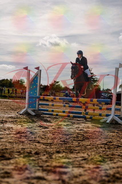 2026_10_03_Siefer-Hof_155321_Z63_10392405 | Professionelle Reitsport-, Turnier- und Eventfotografie von Robert Broda. Galerien mit ausgewählten und bearbeiteten Bildern direkt online ansehen und bestellen.