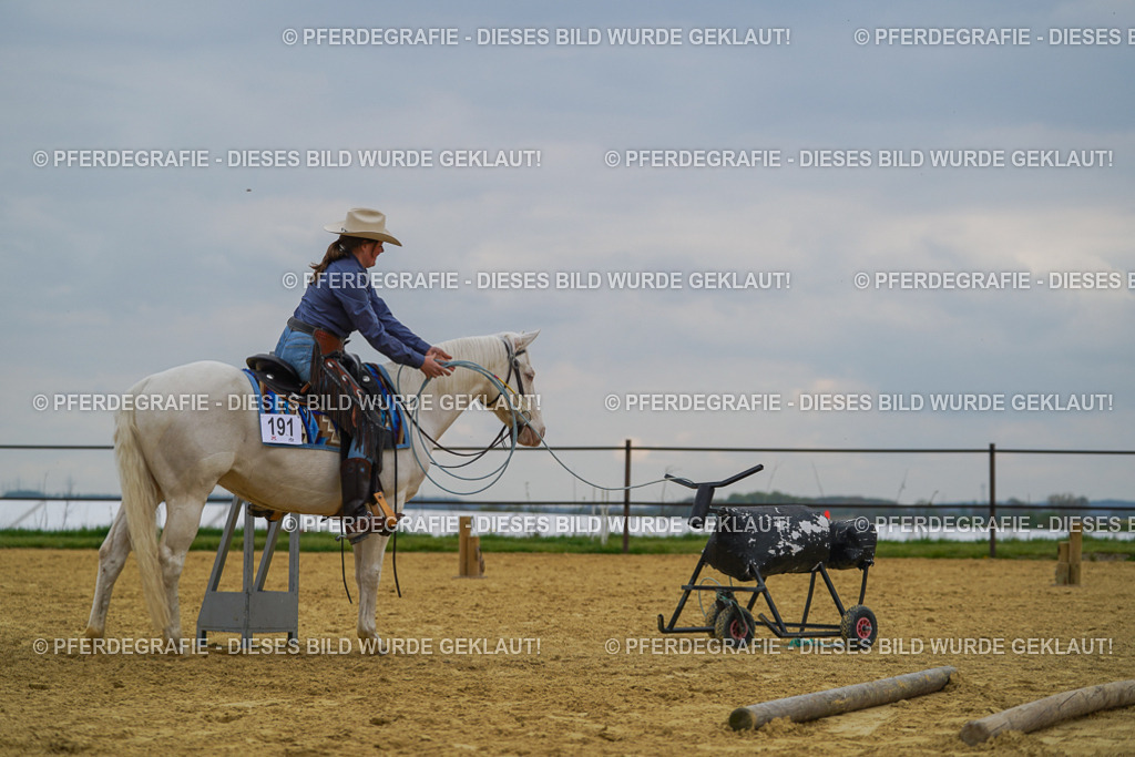 DSC07533 | Pferdegrafie