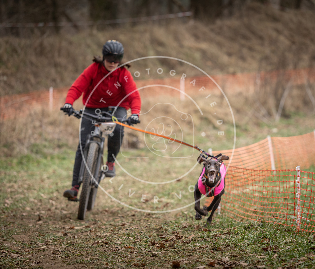 Pfotenfotografie_DV3A5122 | Hundefotografie, Tierfotograf, Pfotenfotografie, Fotoshooting Hund, Hunde Portrait, Hundesport, Hundeportraits, Heideshooting, Hunde, Sportfotograf, Hundefotograf, Turnierhundsport, THS,  - Realisiert mit Pictrs.com