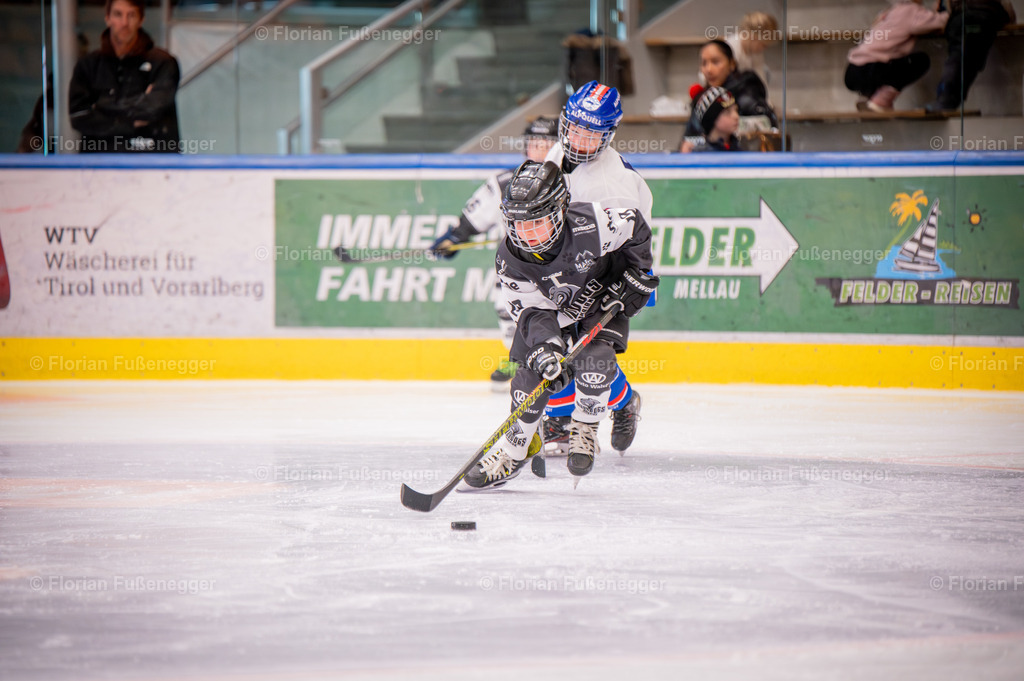 DSC_3882 | "Fussifoto.com – Ihr Ansprechpartner für hochwertige Fotografie! Entdecken Sie kreative Bilder und professionelle Dienstleistungen. Kontaktieren Sie uns für Ihre Projekte!"