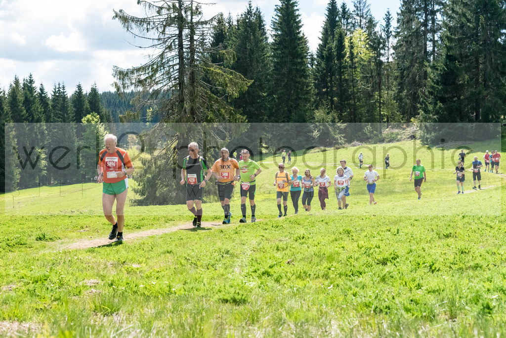 Rennsteiglauf 2019 | Marathon Neuhaus/Rwg. - Schmiedefeld am 18. Mai 2019