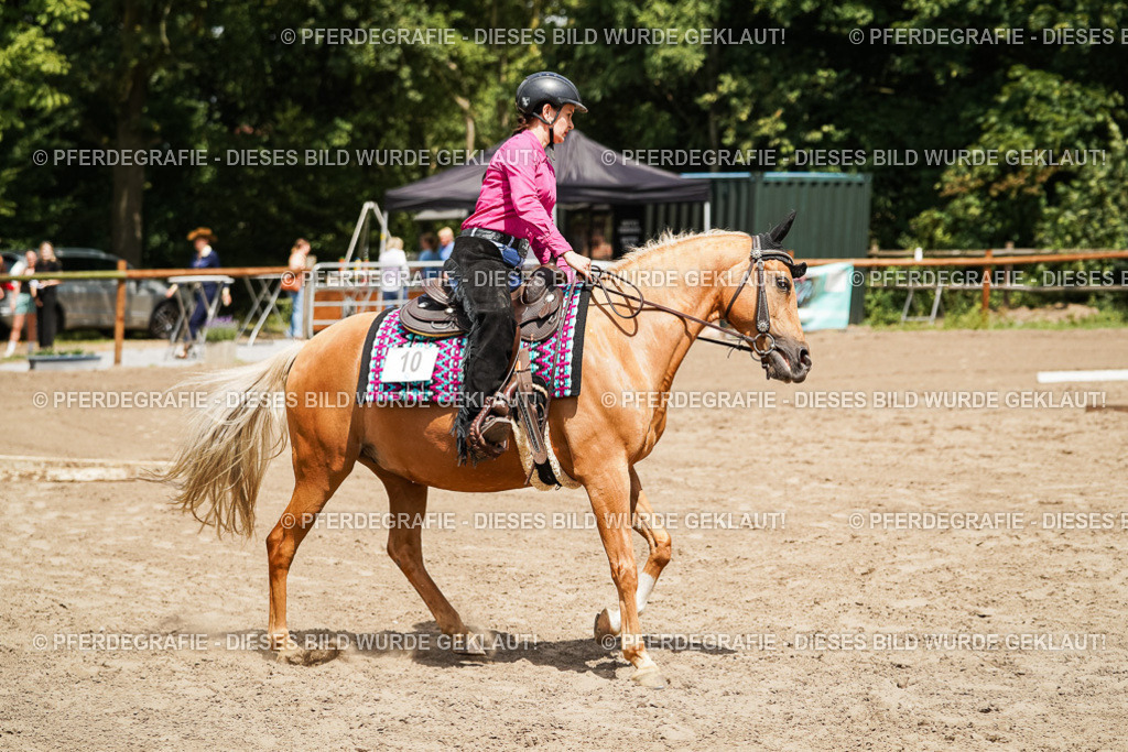 DSC08052 | Pferdegrafie