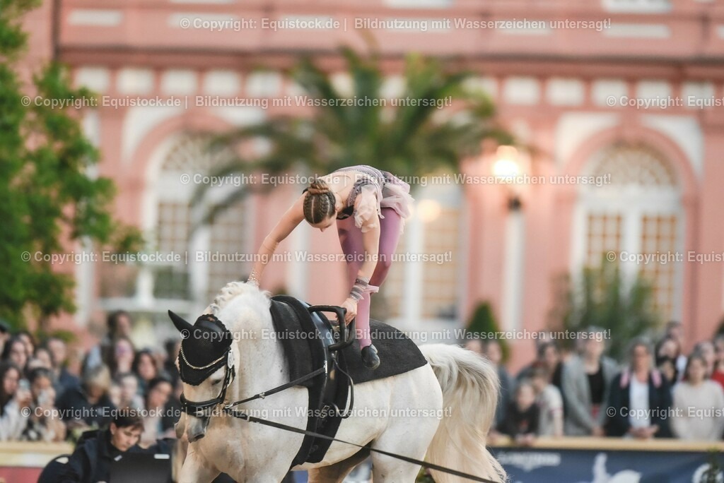 20230527_Voltigieren_NASPA_Flutlicht_0330 | equistock