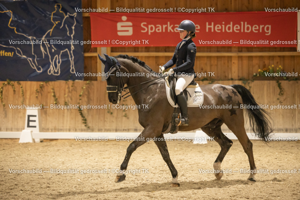 _D5A4144 | Emotionale Pferde- & People-Fotografie rund um Heidelberg, Leimen & Umgebung. Natürliche Fotos von Pferd, Mensch & Familie. Jetzt Termin sichern!