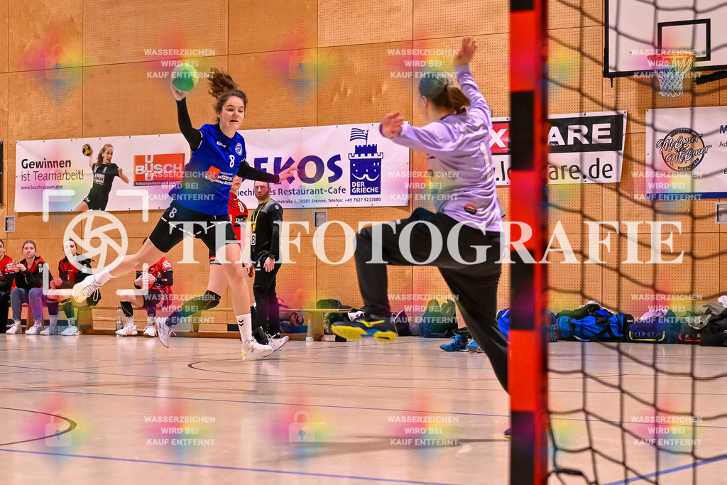 GER, SG Maulburg/Steinen - TuS Helmlingen, Handball, Suedbadenliga, 14. Spieltag, Saison 2023/2024, 17.02.2024 | Marion Glattfelder (TuS Helmlingen, #08) beim Wurf gegen Antje Matschenz (SG Maulburg/Steinen, #01)

GER, SG Maulburg/Steinen - TuS Helmlingen, Handball, Suedbadenliga, 14. Spieltag, Saison 2023/2024, 17.02.2024

Foto: TH Fotografie/Thomas Hess