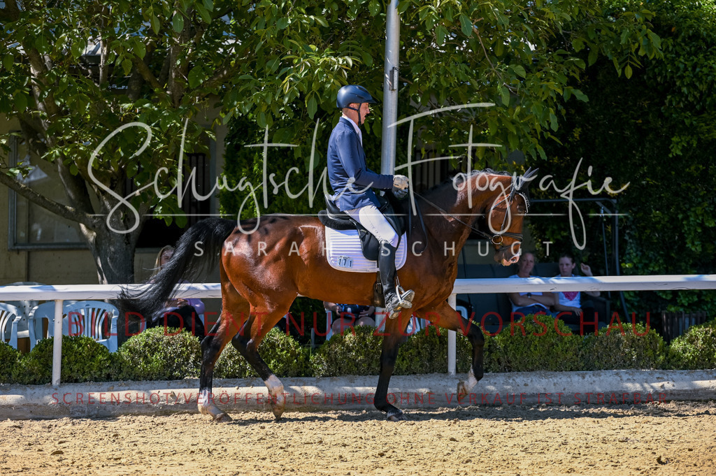 Schugtsche-Aluta25-50.Dressurpferdeprf.L-33 | Schugtsche Fotografie - Realisiert mit Pictrs.com