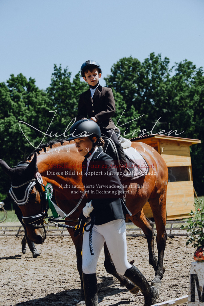 DSC_2379 | Pferde- und Turnierfotografie in Westsachsen. Pferdeportraits, Auftragszeichnungen und intuitive Kunst.