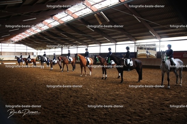 JugendTrophy0641 | Fotografie, Tiere, Hunde, Katzen, Pferde, Sportfotografie, Fotosession, Tierfotografie, Turnierfotografie, Fotografin, Fotograf - Realisiert mit Pictrs.com