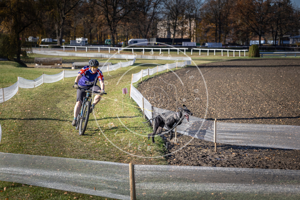 CaniXpix_DV3A4732 | Hundefotografie, Tierfotograf, Pfotenfotografie, Fotoshooting Hund, Hunde Portrait, Hundesport, Hundeportraits, Heideshooting, Hunde, Sportfotograf, Hundefotograf, Turnierhundsport, THS,  - Realisiert mit Pictrs.com