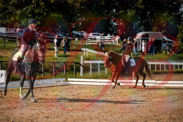 2026_10_03_Siefer-Hof_120058_Z63_32755531 | Professionelle Reitsport-, Turnier- und Eventfotografie von Robert Broda. Galerien mit ausgewählten und bearbeiteten Bildern direkt online ansehen und bestellen.