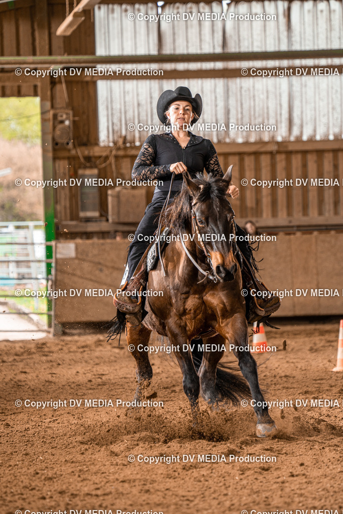 BAL00646 | dv-media-shop - Realisiert mit Pictrs.com