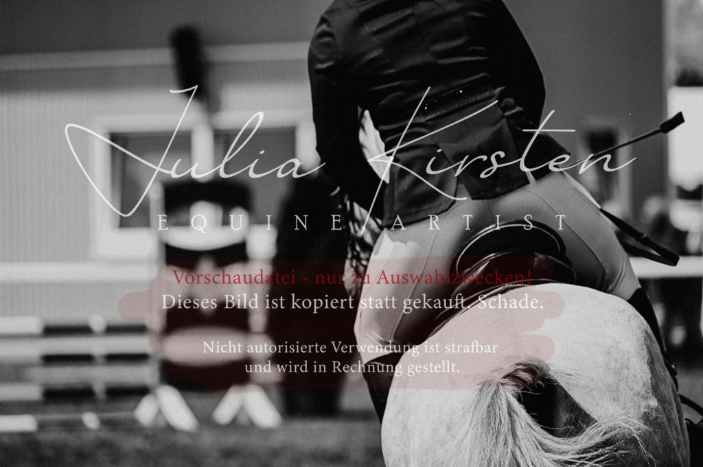 DSC_9236 | Pferde- und Turnierfotografie in Westsachsen. Pferdeportraits, Auftragszeichnungen und intuitive Kunst.
