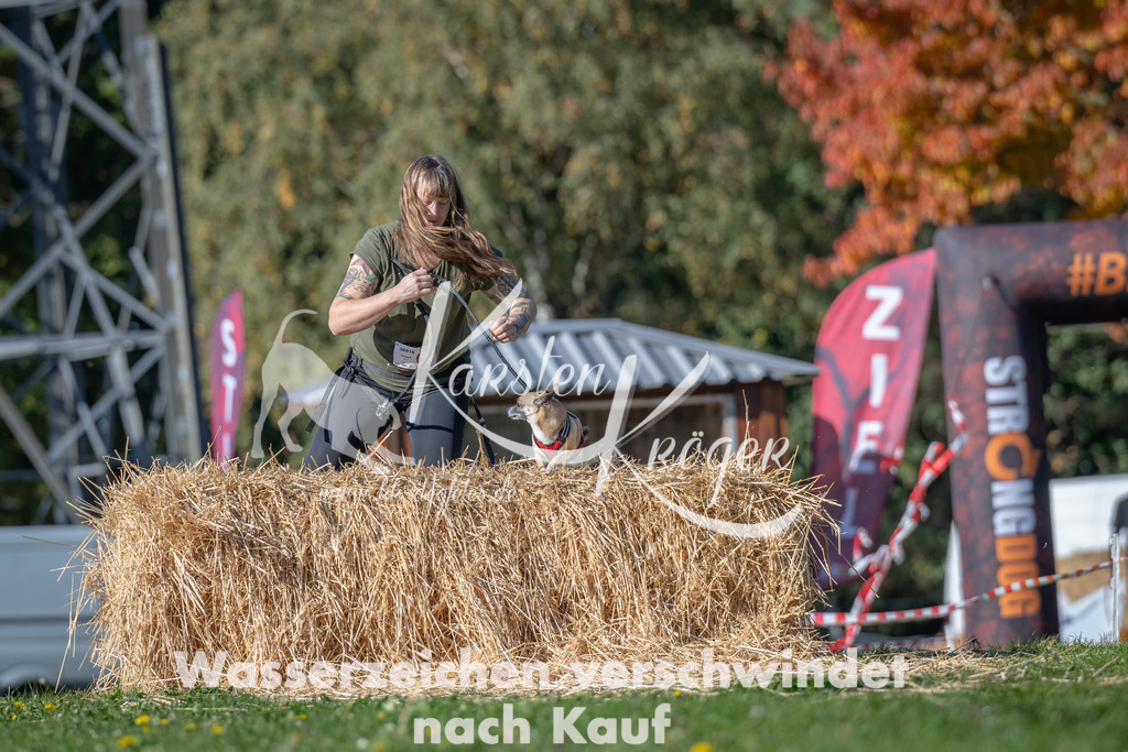 1138_ZZ91005 | kk-dogfotos