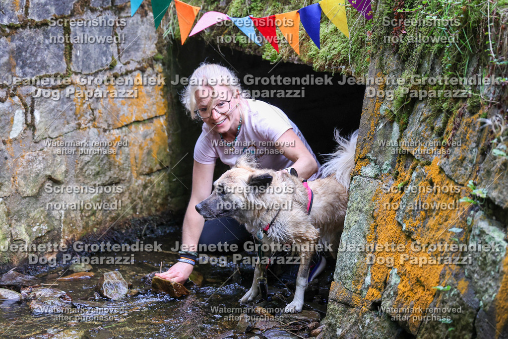 Dog Paparazzi -  TH 26-57 | Dog Paparazzi Jeanette Grottendiek Fotografie & Videografie - Realisiert mit Pictrs.com