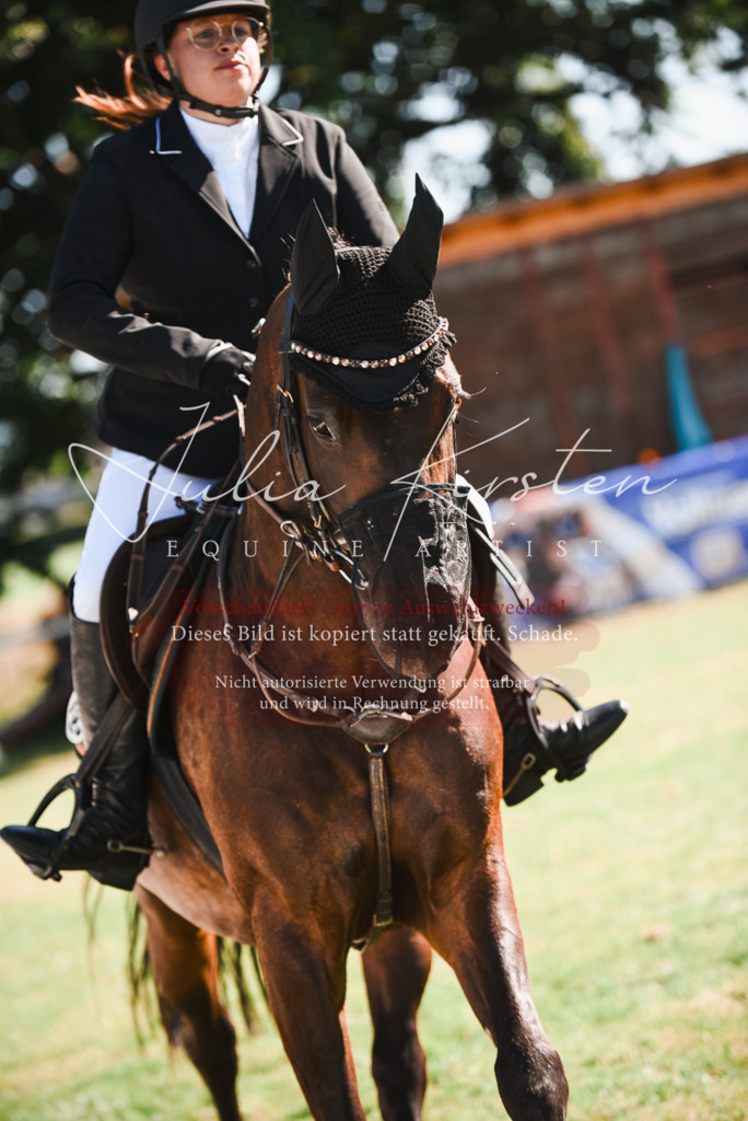 DSC_2520 | Pferde- und Turnierfotografie in Westsachsen. Pferdeportraits, Auftragszeichnungen und intuitive Kunst.