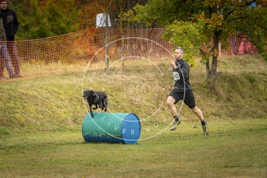 Pfotenfotografie_DV3A5914 | Hundefotografie, Tierfotograf, Pfotenfotografie, Fotoshooting Hund, Hunde Portrait, Hundesport, Hundeportraits, Heideshooting, Hunde, Sportfotograf, Hundefotograf, Turnierhundsport, THS,  - Realisiert mit Pictrs.com