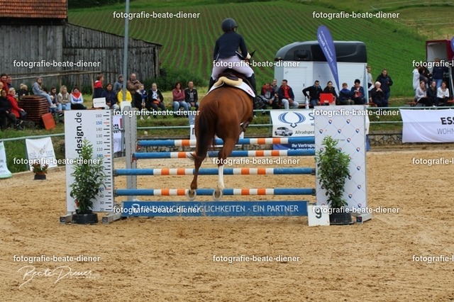 OHT1941 | Fotografie, Tiere, Hunde, Katzen, Pferde, Sportfotografie, Fotosession, Tierfotografie, Turnierfotografie, Fotografin, Fotograf - Realisiert mit Pictrs.com