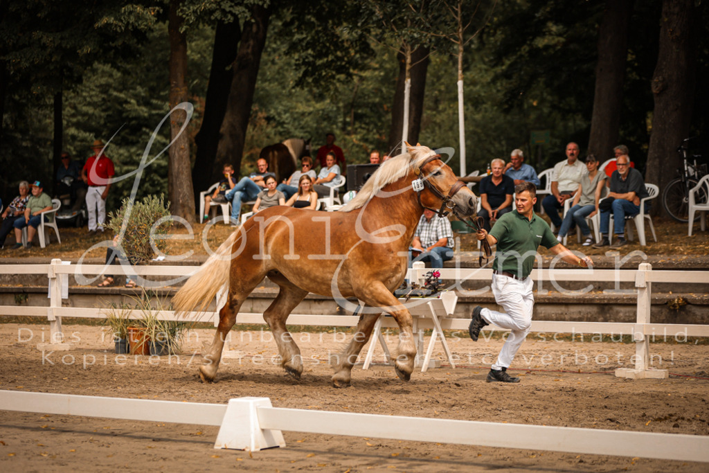 4.Sa00064 | Leoni Ertmer Photography - Realisiert mit Pictrs.com