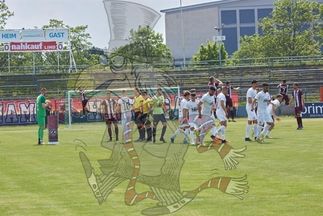 BFC Dynamo vs. Berliner AK 07 007 | mythos-online-redaktion