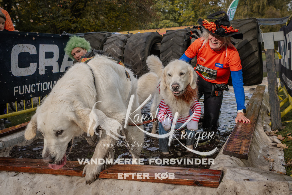 1447_ZZ90184 | kk-dogfotos